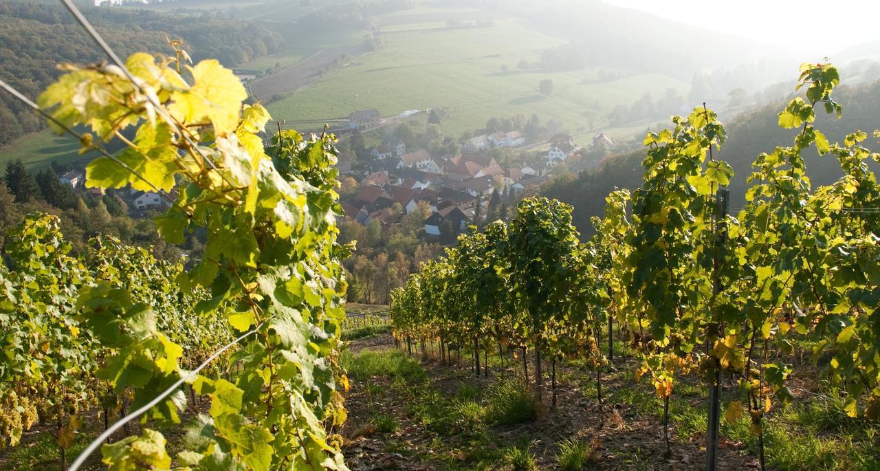 Weingut Hees - Landgasthof Zum Jäger aus Kurpfalz Auen Exterior foto