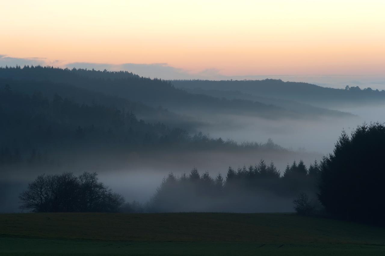 Weingut Hees - Landgasthof Zum Jäger aus Kurpfalz Auen Exterior foto