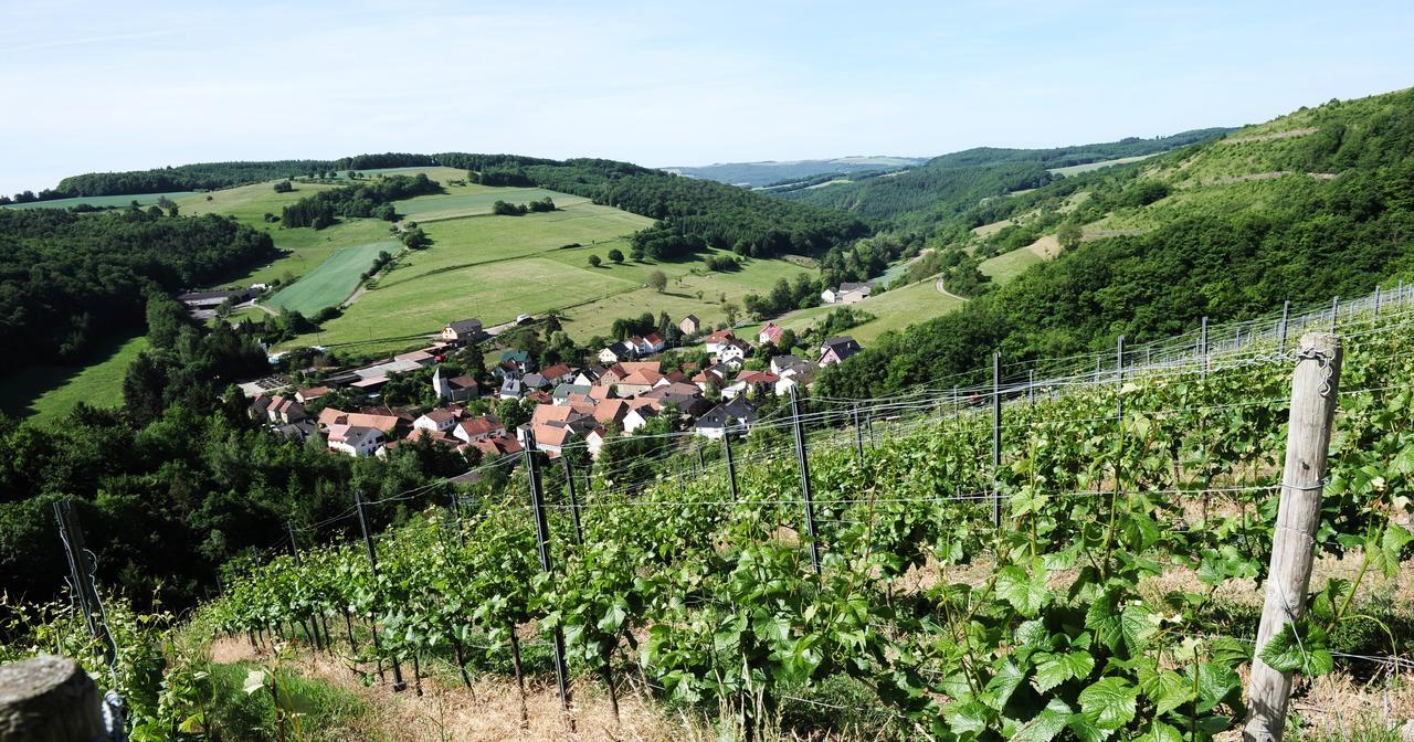 Weingut Hees - Landgasthof Zum Jäger aus Kurpfalz Auen Exterior foto