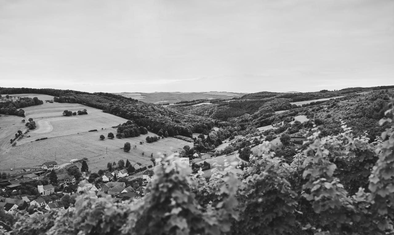 Weingut Hees - Landgasthof Zum Jäger aus Kurpfalz Auen Exterior foto